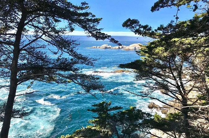 17-Mile Drive, Monterey Peninsula &Carmel Max 12 Small Group Tour - Price and value: what $118 covers and what to budget