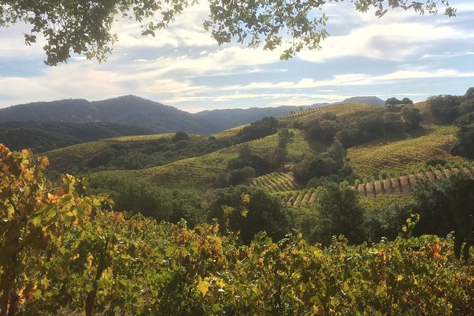 6-Hour Exclusive Wine Tour Experience: Up to 6 Guests - Big Names Plus Private Rooms: What the Stops Are Really Like