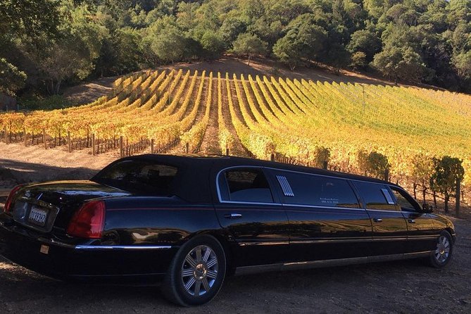 6-Hour Luxury Napa Wine Tasting Tour with Route Planning - Key things I’d bet on