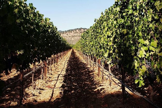 6-Hour Luxury Napa Wine Tasting Tour with Route Planning - How this Napa wine tour makes the day feel easy