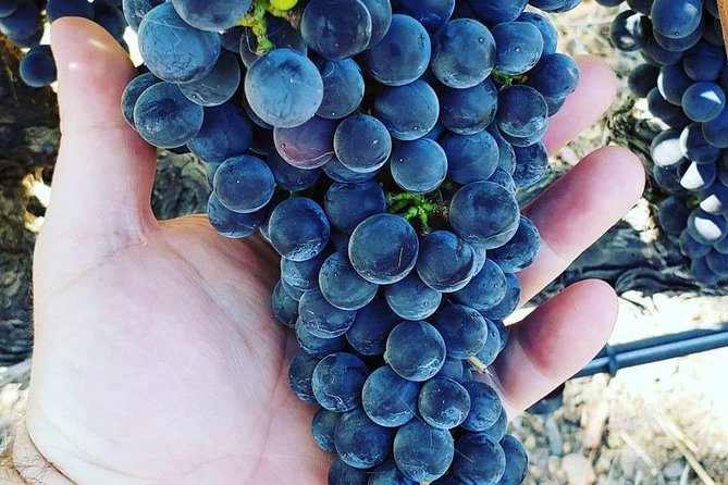 6-Hour Luxury Napa Wine Tasting Tour with Route Planning - Concierge planning: why it’s more than just making reservations