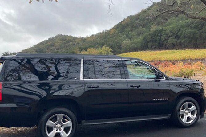 6 Hour Napa or Sonoma Valley Wine Tour by Private SUV - Key Highlights You’ll Care About