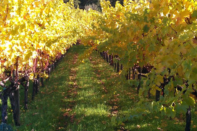 6 Hour Napa or Sonoma Valley Wine Tour by Private SUV - Pickup in the Napa/Sonoma Orbit: Where You Can Get In the SUV