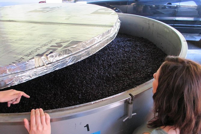 6 Hour Private Customized Wine Tour up to 7 Guests Napa & Sonoma - The Photo Help Is a Big Bonus for Couples and Small Groups