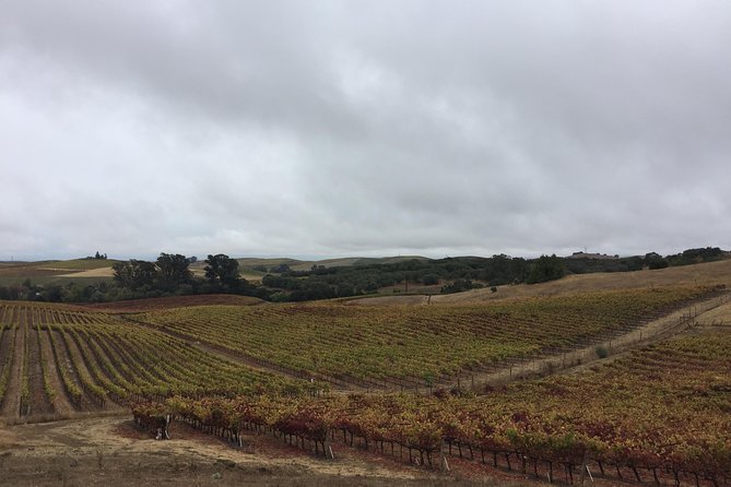6-Hour Private Limousine Wine Country Tour of Napa or Sonoma - Hotel pickup, limousine comfort, and why it changes the whole day