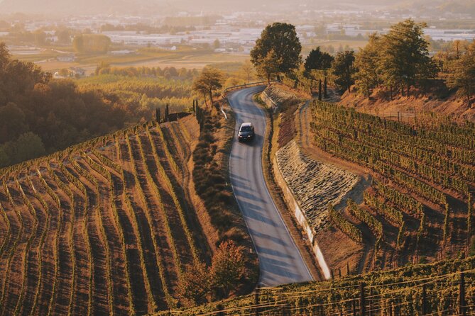6-hour Private Luxury SUV Wine Tour in Napa Or Sonoma Valley - The 6-Hour Rhythm: How Your Napa/Sonoma Day Stays Enjoyable