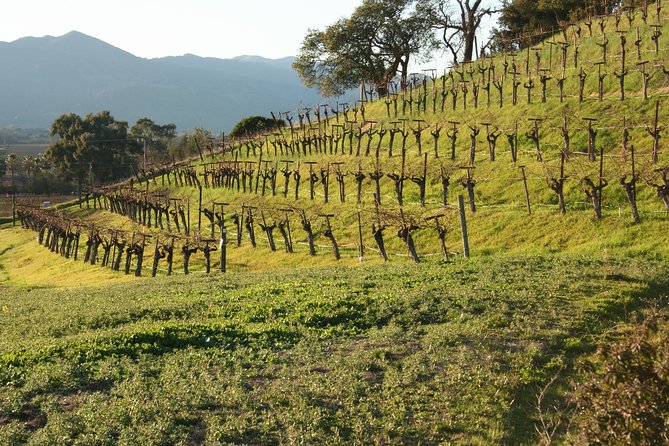 6-Hour Private Wine Country Tour of Napa in Crossover SUV (up to 6 people) - What’s included (and what you’ll pay separately)