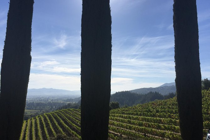 6-Hour Private Wine Country Tour of Napa Valley (up to 6 people) in Large SUV - Booking experience with Apex: fast contact and itinerary flexibility