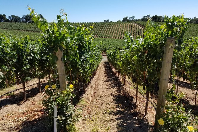 6 Hour Private Wine Country Tour (Sedan, SUV or Limo) - Napa and Sonoma in One Day, Minus the Driving Headaches