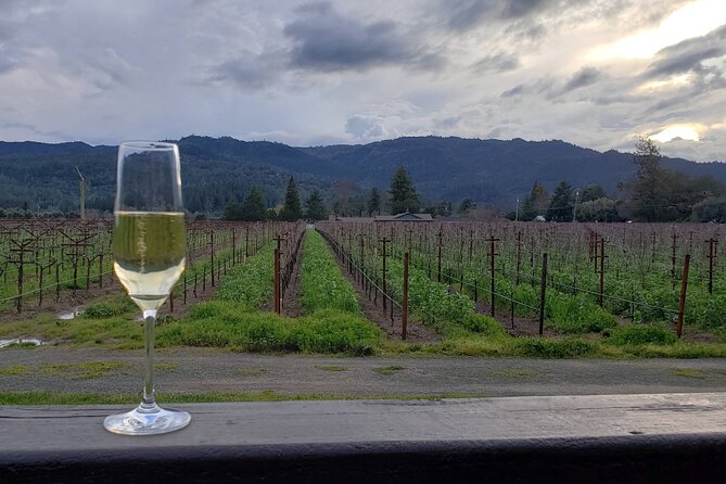 6-Hour Sparkling Wine Tour of Napa Valley - Avoiding the Napa rush: private pacing that actually changes the day