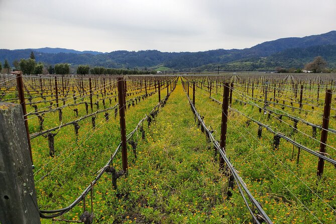 6-Hour Sparkling Wine Tour of Napa Valley - Extra time, minimum age, and practical rules to know