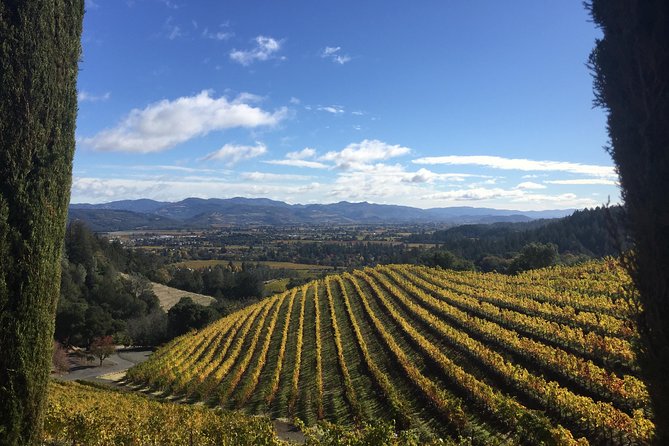 6-Hours Private Napa Wine Tour in a MKT sedan ( 2 Passengers) - Price and Value: When $699 Makes Sense