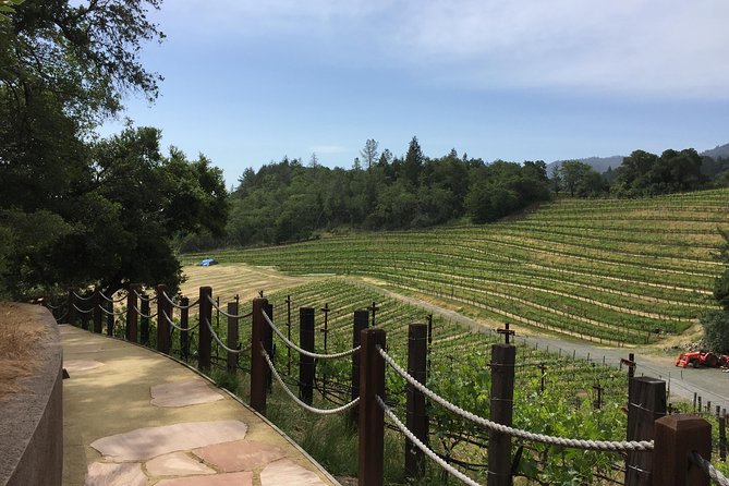 6-Hours Private Napa Wine Tour in a MKT sedan ( 2 Passengers) - Who Should Book This Private Napa Wine Tour