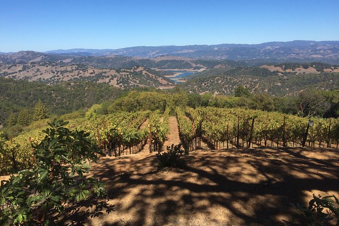 8-Hour Exclusive Wine Tour Experience for up to 6 Guests / Napa-Sonoma - Tasting fees, lunch, and how to budget the total day