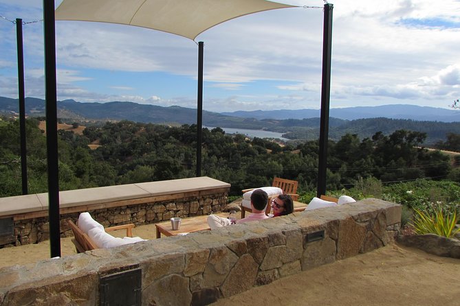 8 Hour Private Customized Wine Tour up to 7 Guests Napa & Sonoma - Building your own winery lineup in Napa or Sonoma
