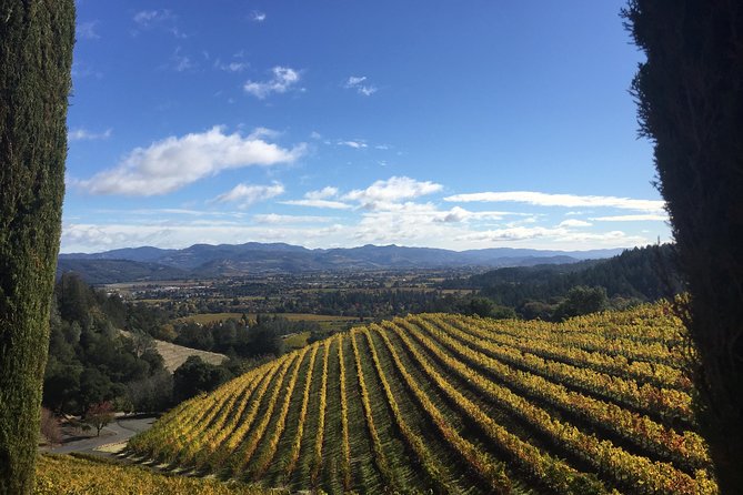 8-Hour, Private Limo Wine Tour to Napa from San Francisco - Pickup and timing: getting an 8-hour window to feel like more