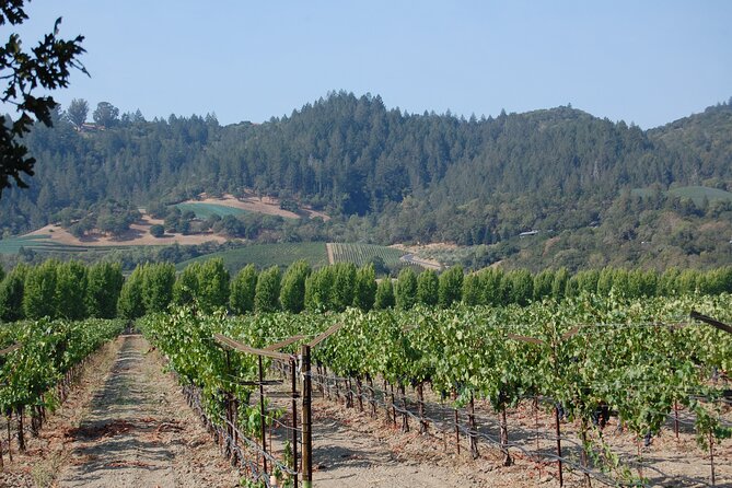8 Hour Private Napa Wine Tasting Tour with a Sample Stops - Timing, Stops, and How to Avoid a Late-Day Snag