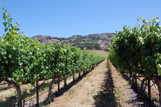 8 Hour Private Tour in Napa Valley Winery - Private pickup and luxury transport: what $849 per group buys