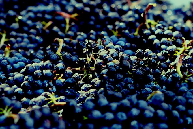 8 Hour Private Tour in Wine Country from San Francisco - Price and logistics: is $945 per group actually good value?