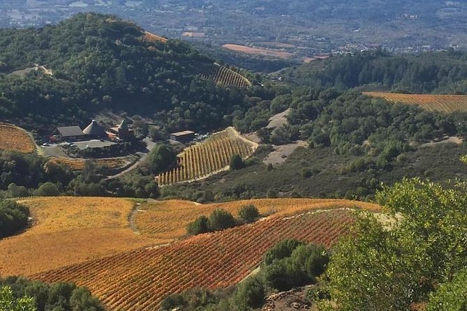 8-Hour Private Wine Tour Experience for up to 6 Guests - San Francisco to Sonoma - Gloria Ferrer Caves & Vineyards: sparkling wine and big vineyard views