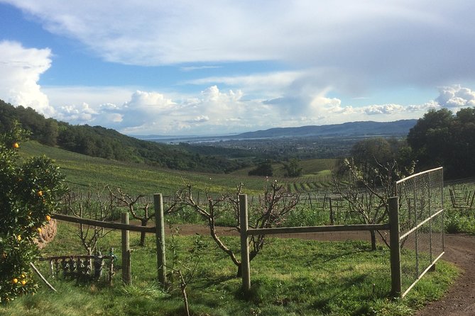 8-Hour Private Wine Tour Experience for up to 6 Guests - San Francisco to Sonoma - Deerfield Ranch Winery: certified organic and a tasting room in a wine cave