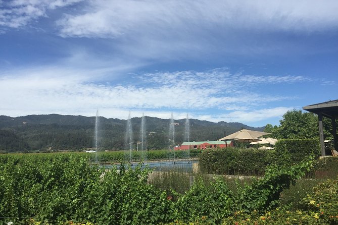 8-Hours Private Limo(up to 8 pass.) Wine Tour of Napa Valley from San Francisco - Tips for a smoother Napa tasting day