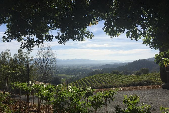 8-Hours Private SUV (up to 6 Passengers) San Francisco to Napa Valley Wine Tour - Stop in Napa Valley: what you should expect on the ground