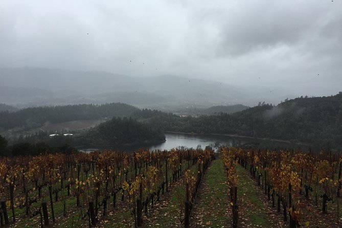8-Hours Private SUV (up to 6 Passengers) San Francisco to Napa Valley Wine Tour - Pickup from your hotel: easy start, less stress at the end
