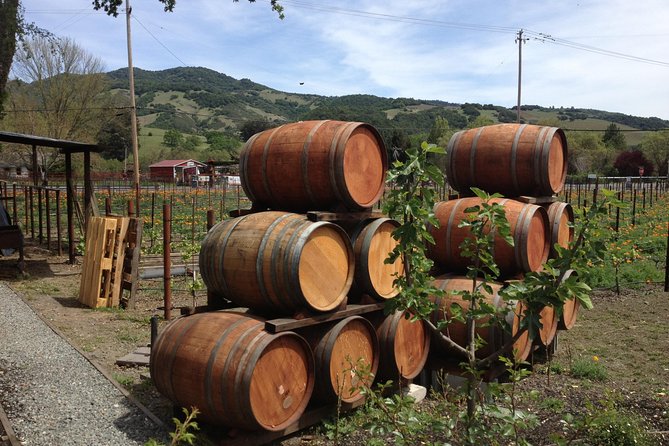 8-Hours Private SUV (up to 6 Passengers) San Francisco to Napa Valley Wine Tour - How the 8-hour timing usually plays out