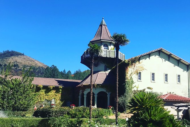 8hr Private Sonoma and Napa Wine Tour from San Francisco.XL SUV - Driver-focused tour vs. winery-host experiences