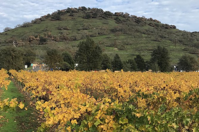 8hr Private Sonoma and Napa Wine Tour from San Francisco.XL SUV - A realistic schedule for up to 5 tastings
