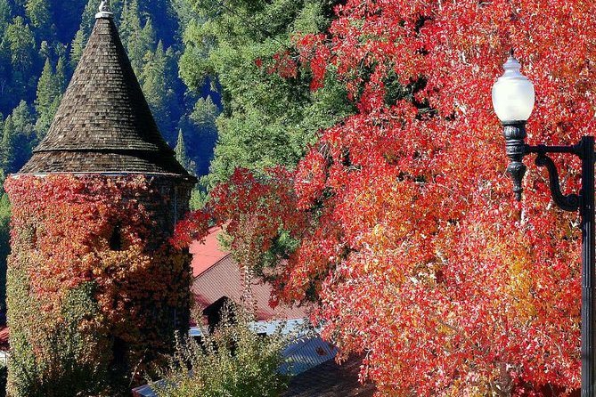 8hr-Private Wine Tour from SF & 1/2 Case of Californian wine. - Private Wine Country in One Day: What This Format Really Buys You