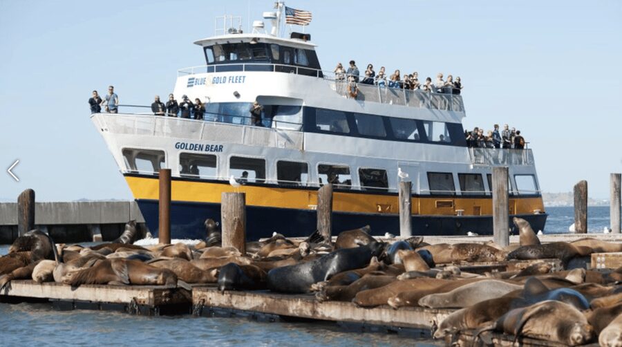 Alcatraz Island Prison Tour & Bay Cruise Combined Package - Timing, Walking, and Weather: The Real Decision Points