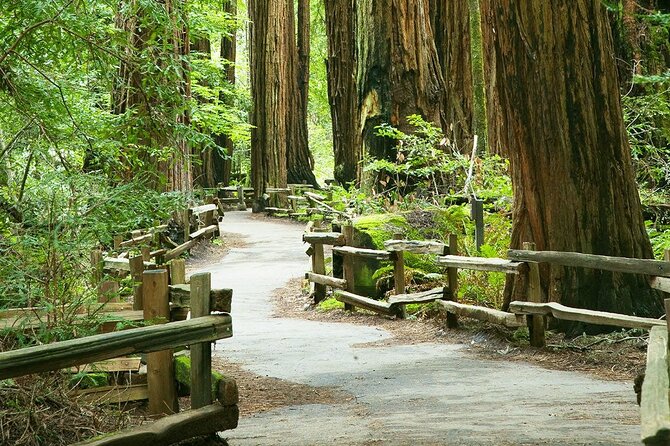 Alcatraz Muir Woods Express with Golden Gate Bridge Visit - Key Points You’ll Actually Care About