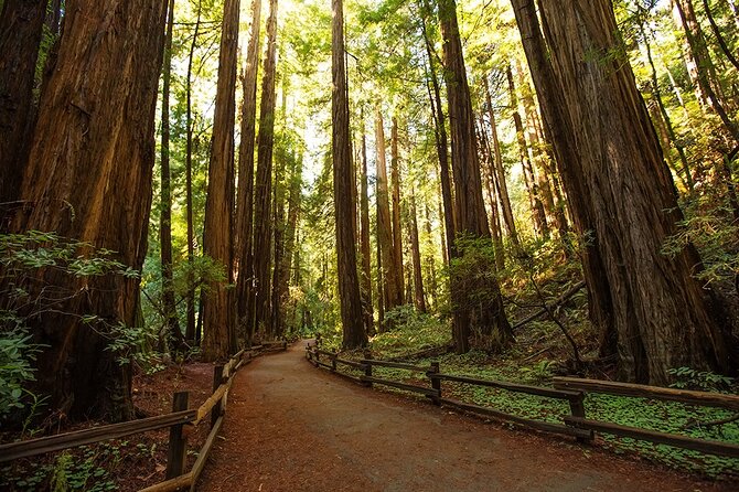 Alcatraz Muir Woods Express with Golden Gate Bridge Visit - Why This Combo Tour Makes Sense in a Tight San Francisco Schedule