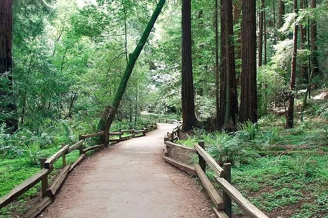 Alcatraz Muir Woods Express with Golden Gate Bridge Visit - Best-Fit Traveler: Who This Tour Is Built For