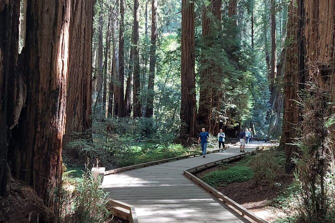 Amazing Muir Woods and Sausalito Tour - Who this tour fits best (and who might want something else)