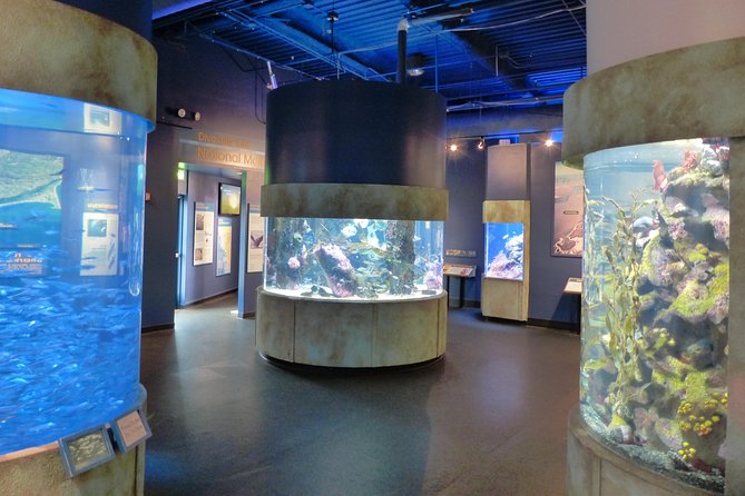 Aquarium of the Bay General Admission Ticket - Discover the Bay: local fish stories that make the animals make sense