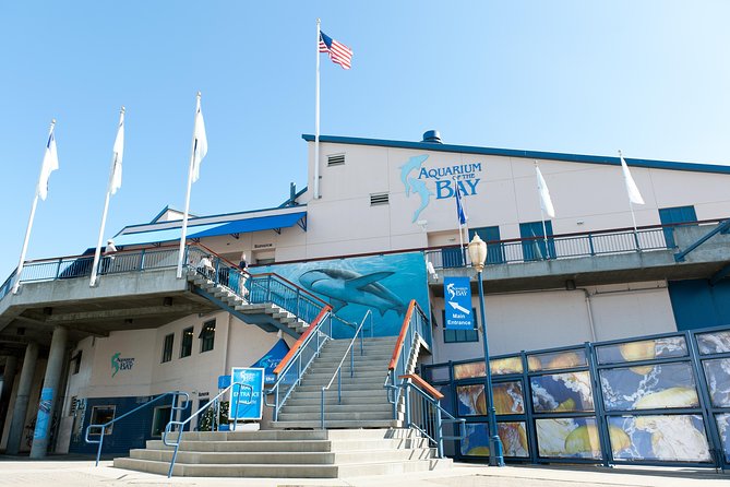 Aquarium of the Bay General Admission Ticket - How long to plan: 2 hours works, but pacing decides the outcome