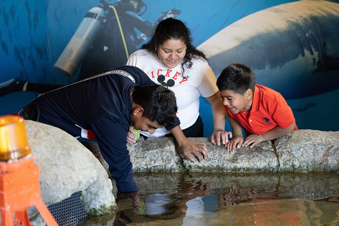 Aquarium of the Bay VIP Experience - Behind-the-scenes access: what it likely means in practice