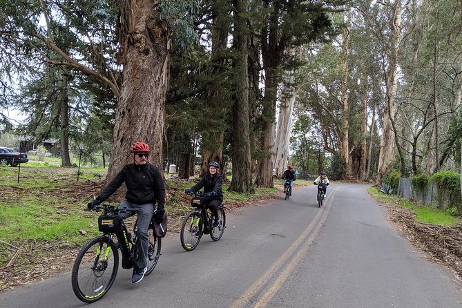 Behind-the-Scenes Food and Wine E-Bike Tour - Why an e-bike wine-and-cheese day works so well in Sonoma