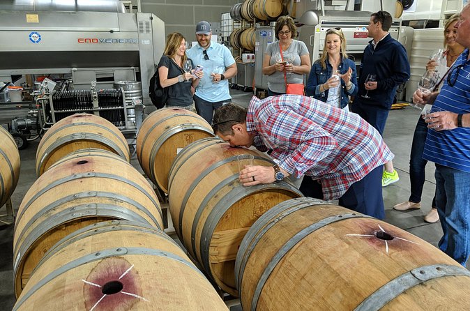 Behind-the-Scenes Food and Wine E-Bike Tour - The ride itself: what 6 hours feels like on an e-bike route
