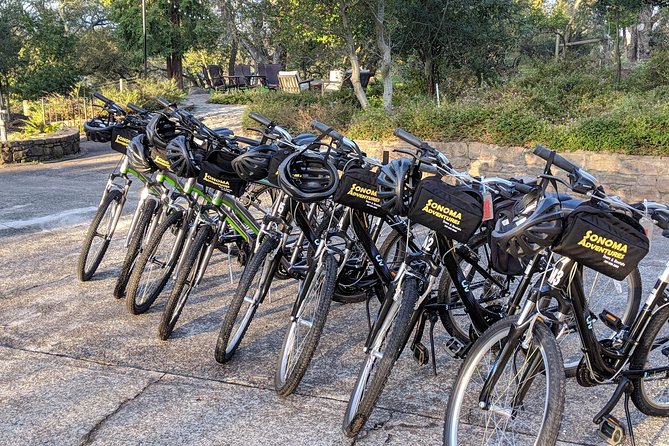Behind-the-Scenes Food and Wine E-Bike Tour - Price and what you’re really buying for $159