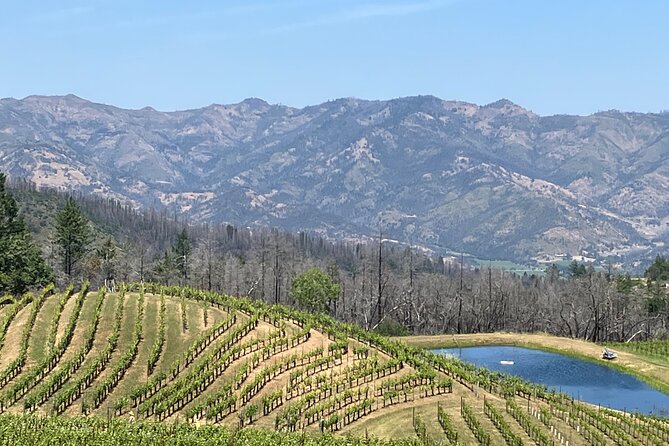 Best Private Wine Tours of Napa Valley-Sonoma for up to 8 people - Comfort inside the van: clean ride, easy music, and calm vibes