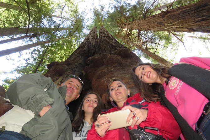 Best San Francisco, Muir Woods & Sausalito Private Combo Tour - Who should book this tour, and who might not love it