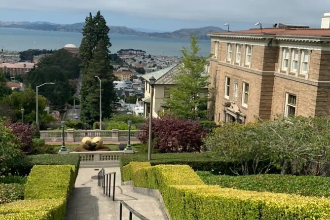Billionaire Row and Palace of Fine Art Walking Tour - Alta Plaza Park to Divisadero Street: Starting with Views and Power Addresses