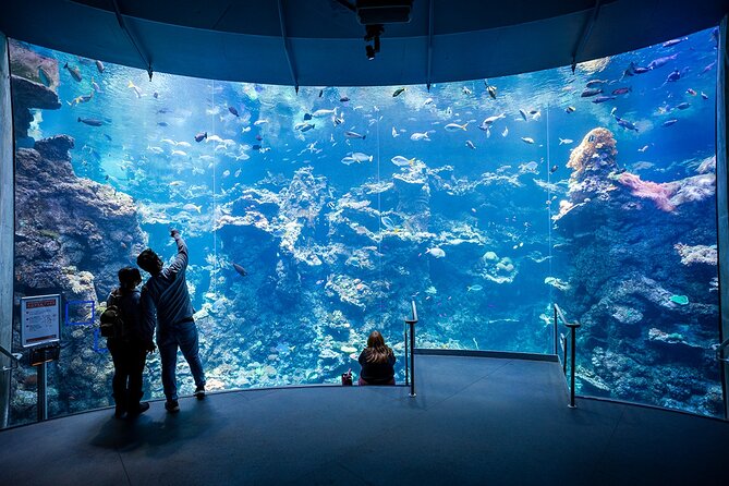 California Academy of Sciences General Admission Ticket - Steinhart Aquarium: Deep Reef, Venom Exhibit, and the Twilight Zone