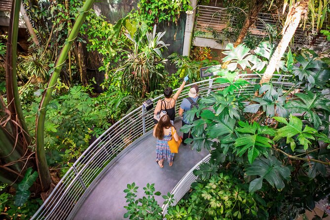 California Academy of Sciences General Admission Ticket - Main Museum Moments: Penguins, Dinosaurs, and Living Roof Science