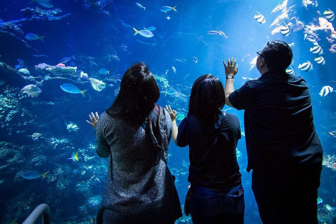 California Academy of Sciences NightLife Admission Ticket - Music, Bars, and the Adult-Only Vibe (21+)