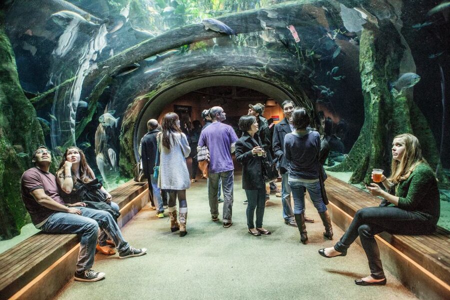 California Academy of Sciences Thursday NightLife Admission - Hands-on exhibits and the monthly theme effect